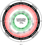 Leadership Versatility Index