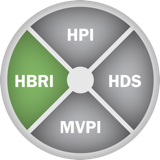 Hogan HBRI Hogan Business Reasoning Inventory