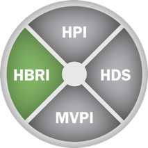 HBRI - Hogan Business Reasoning Inventory