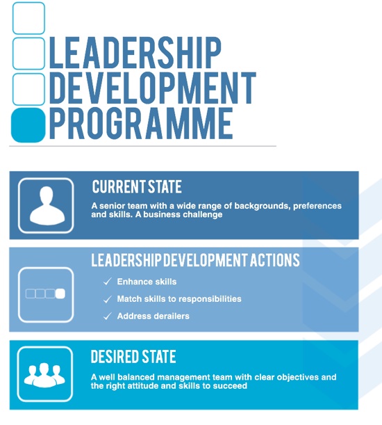 Leadership development